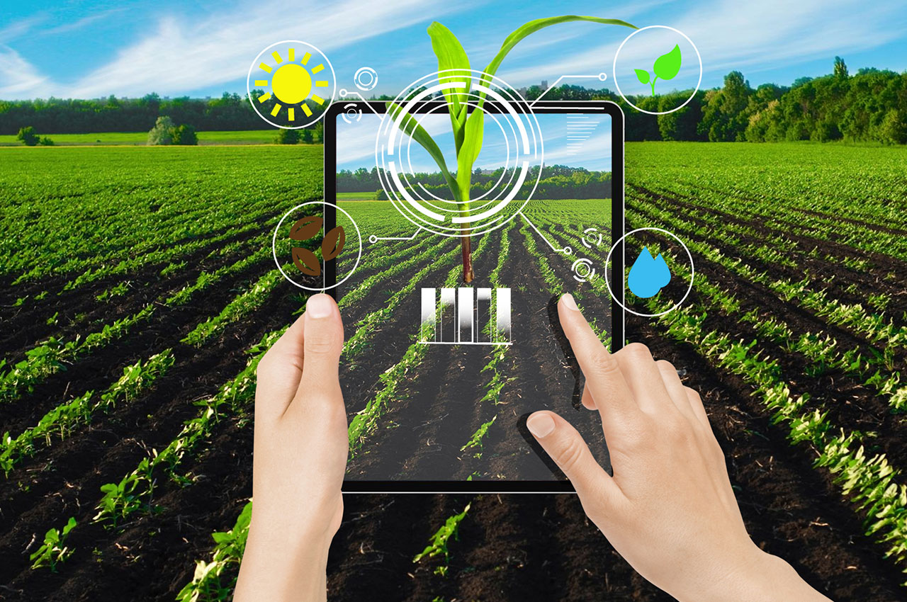 智慧农业溯源系统：科技助力农产品安全