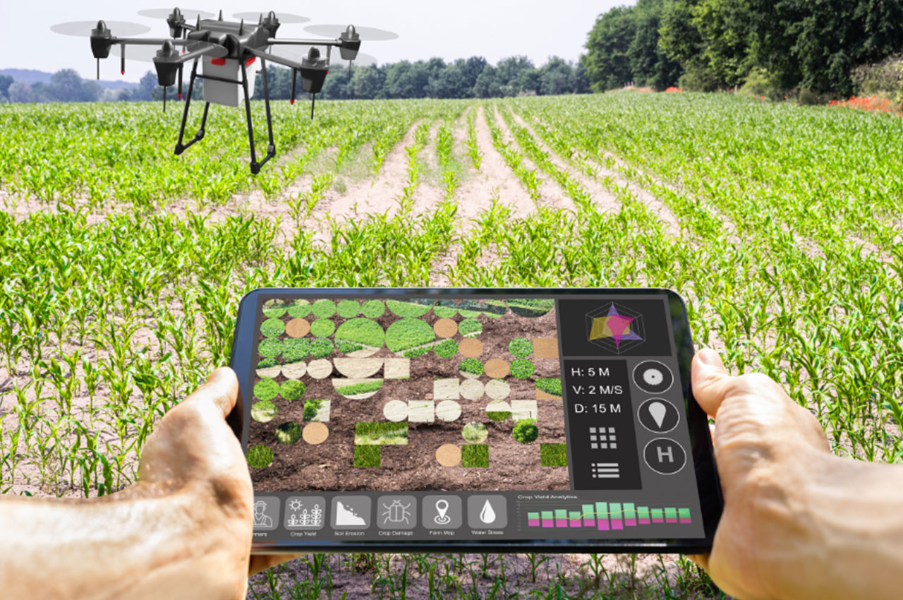 智慧农场：互联网 认养农业的融合创新