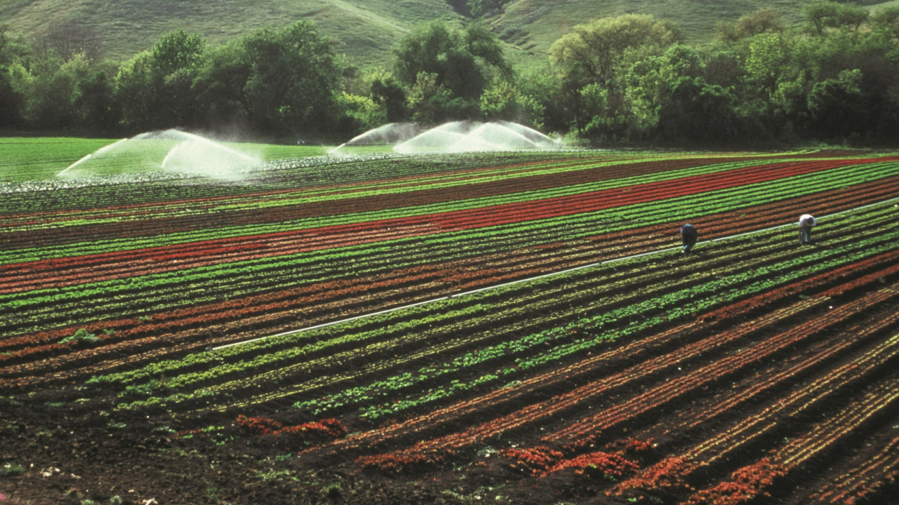 数字农业转型中的区块链之光：技术应用在农业价值链上