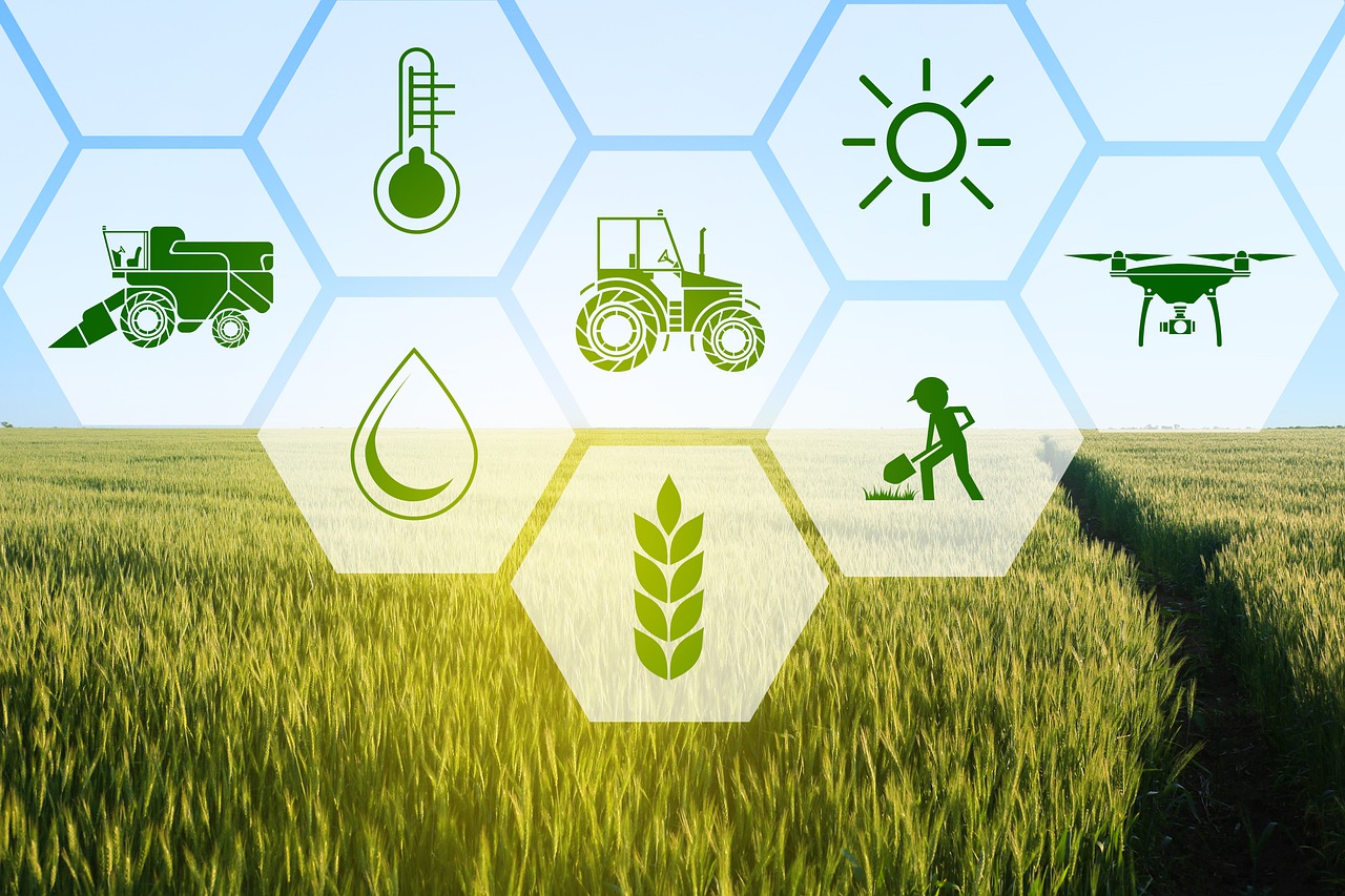 智慧农业的未来展望：人工智能如何塑造农业的可持续未来