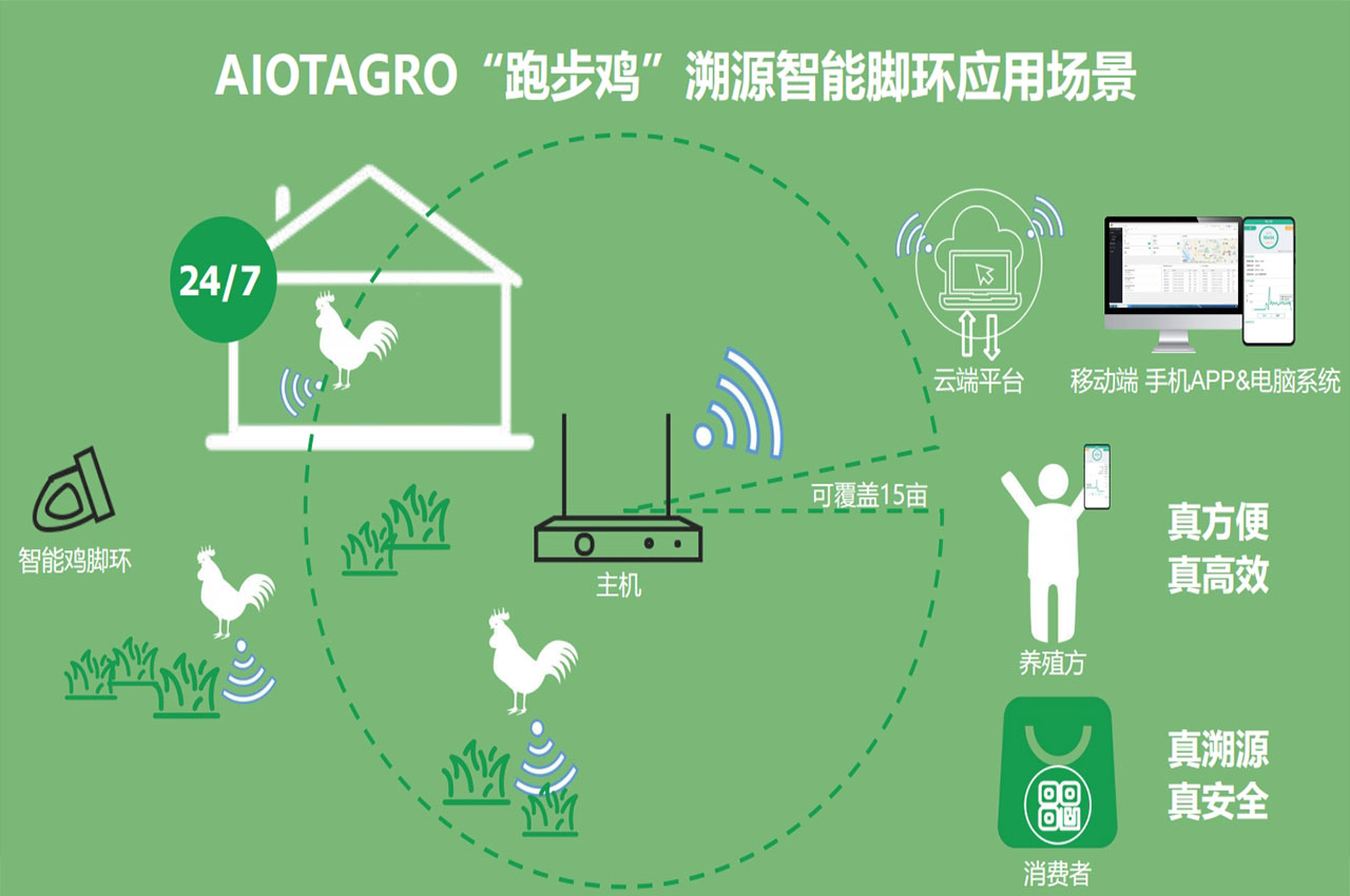 鸡脚环在智慧养殖中的应用与优势：高效管理的关键工具