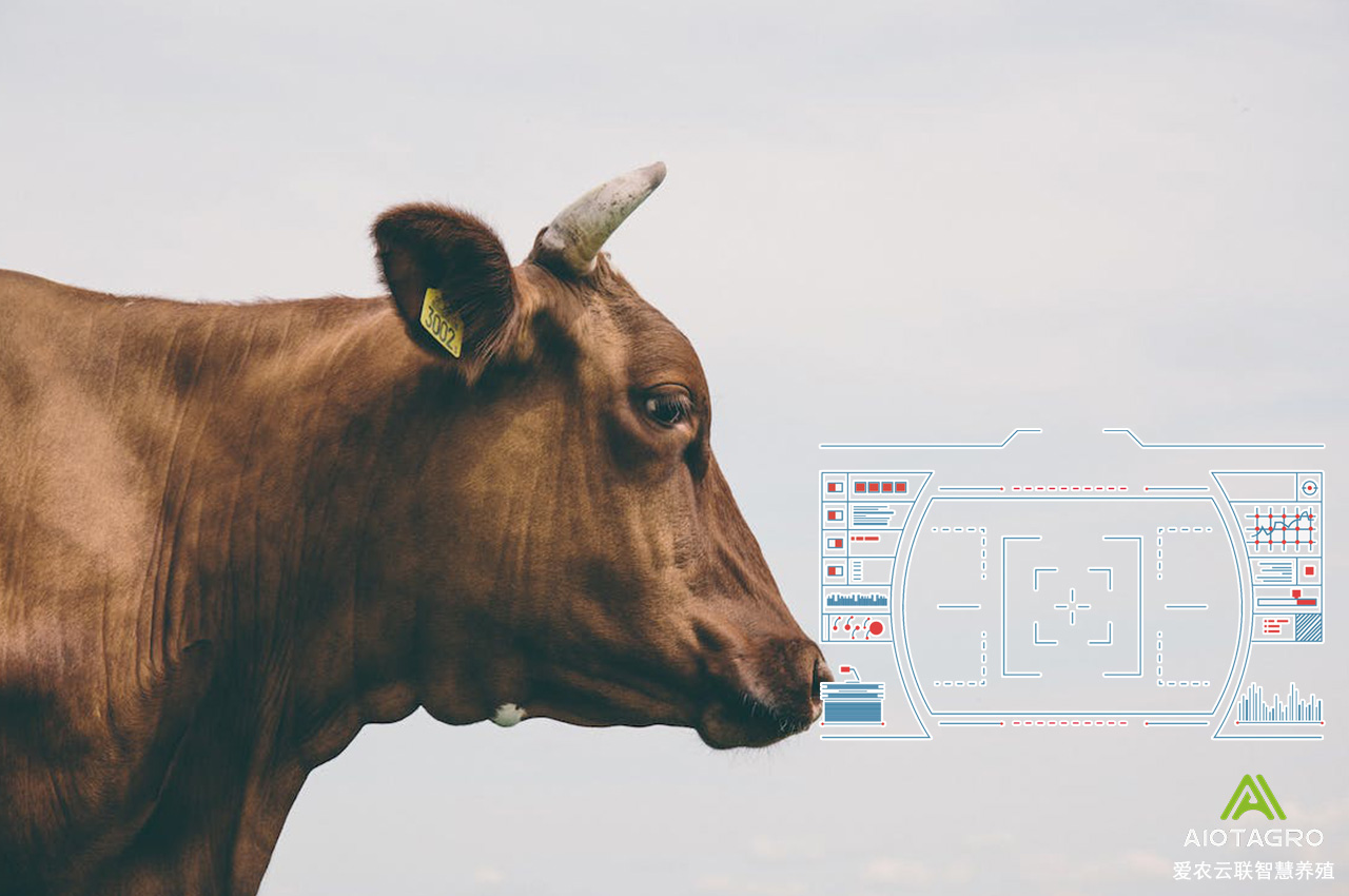 智慧农业、智慧养殖为农业可持续发展提供了新的思路和方法-爱农云联