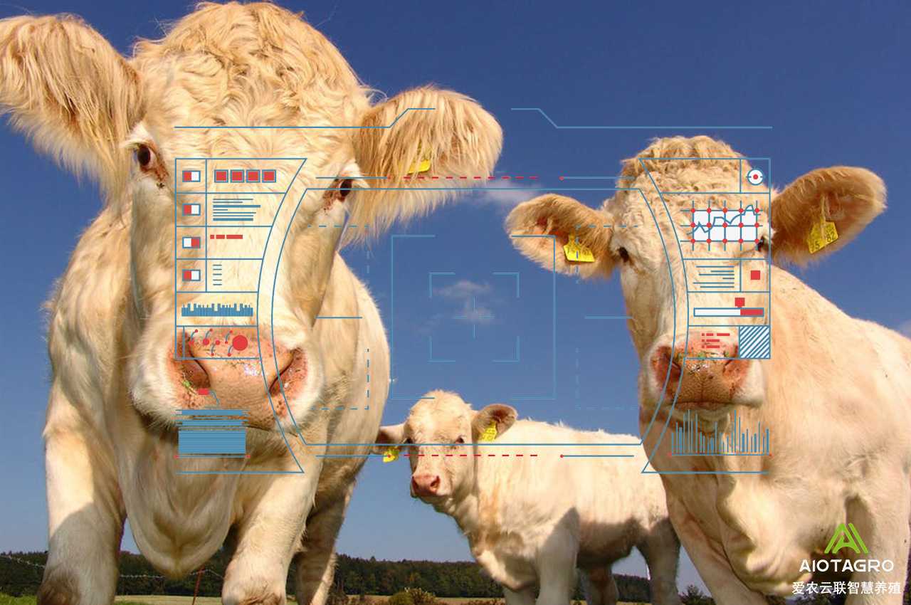 AIOT助力智慧农业：智慧农场管理系统的应用-爱农云联