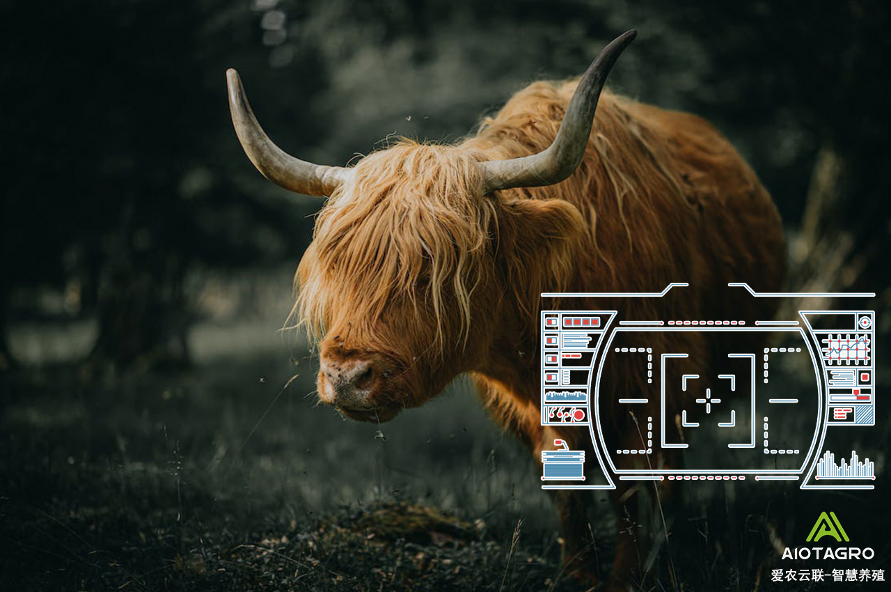智慧养殖与智能化设备：推动农业现代化的必由之路-爱农云联