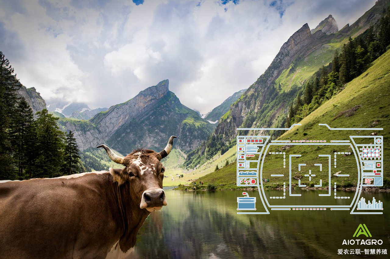 智慧养殖场：智能化技术在畜牧业中的应用-爱农云联