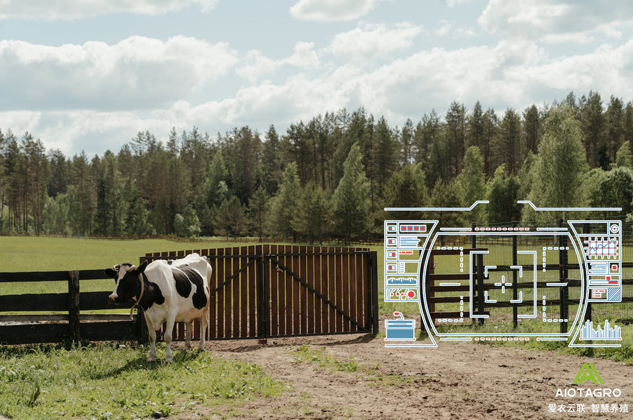 自动化养殖设备：助力现代畜牧业和养殖业发展的关键-爱农云联