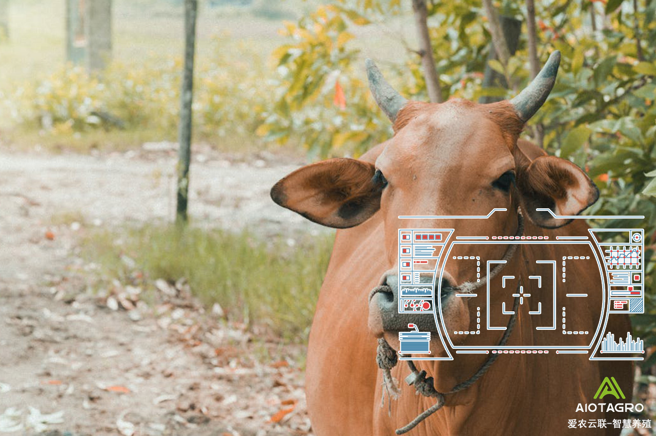 智慧农业带来的智能化农业设备与养殖方式变革-爱农云联