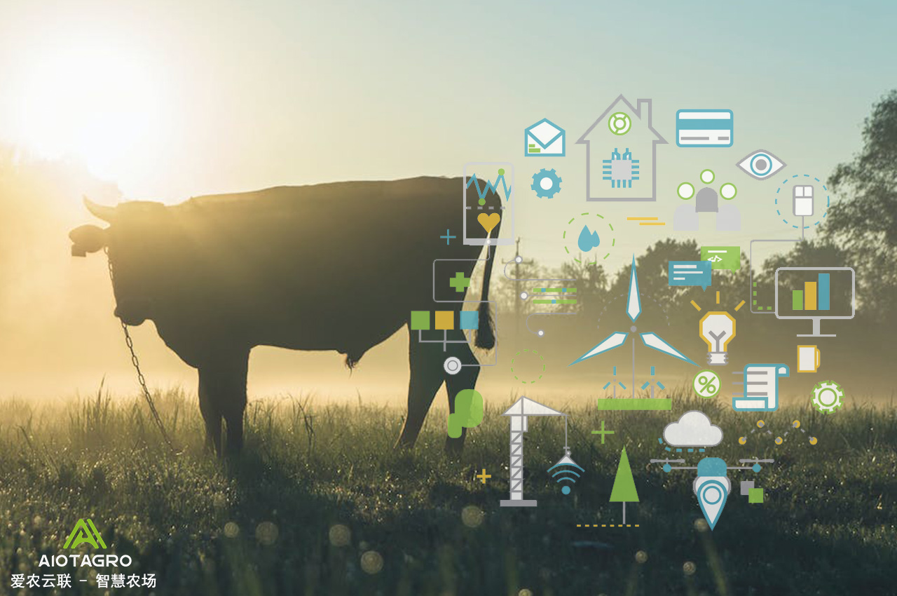 智慧牧场、银行和保险业：生物资产领域的合作与创新-爱农云联