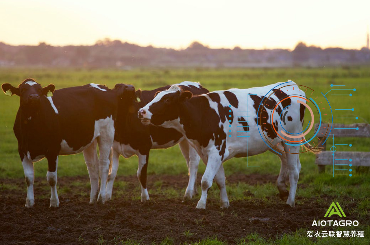 智慧养殖技术为畜牧业和农场管理带来高速变化-爱农云联