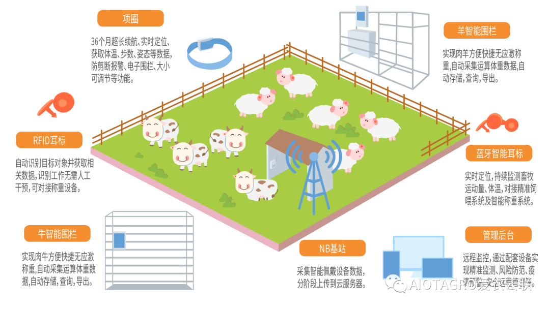 爱农云联智能牛羊项圈首次采用最新的NB-IOT+GNSS芯片级整合通过实时定位