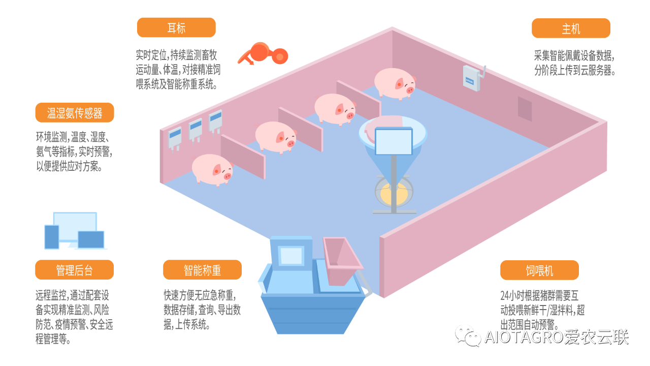 爱农云联智慧养猪解决方案已经在养猪头部企业进行实际使用