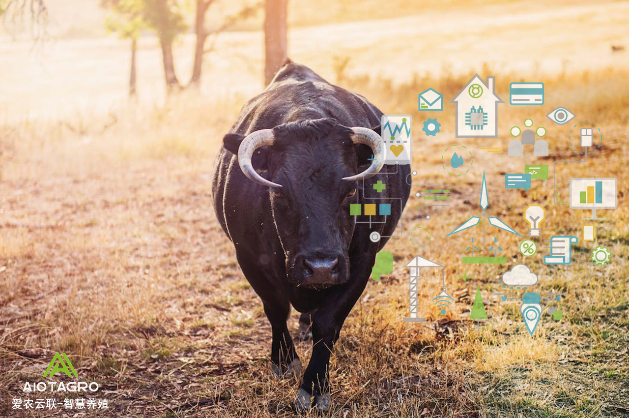 智能农场引入自动化技术和人工智能技术-爱农云联