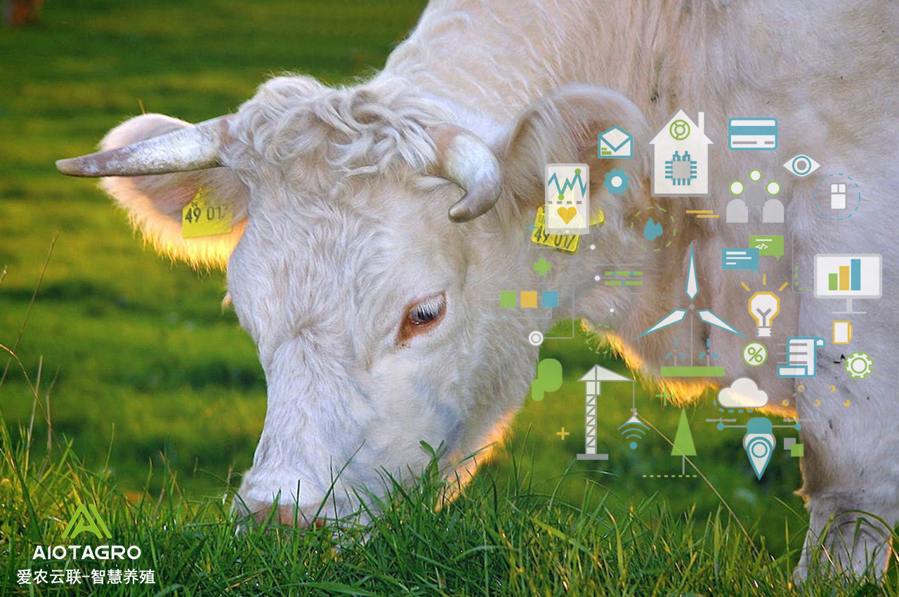 智慧农场：智能化AI技术带来的未来农业-爱农云联