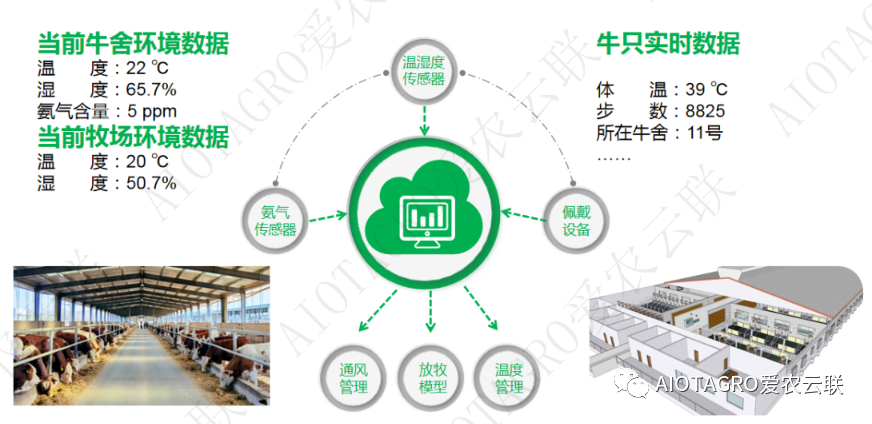 爱农云联智慧牧场智能环境监测