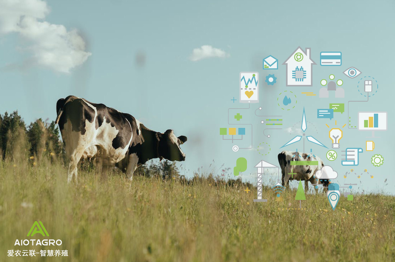 智慧养殖促使畜牧业迈向数字化时代-爱农云联