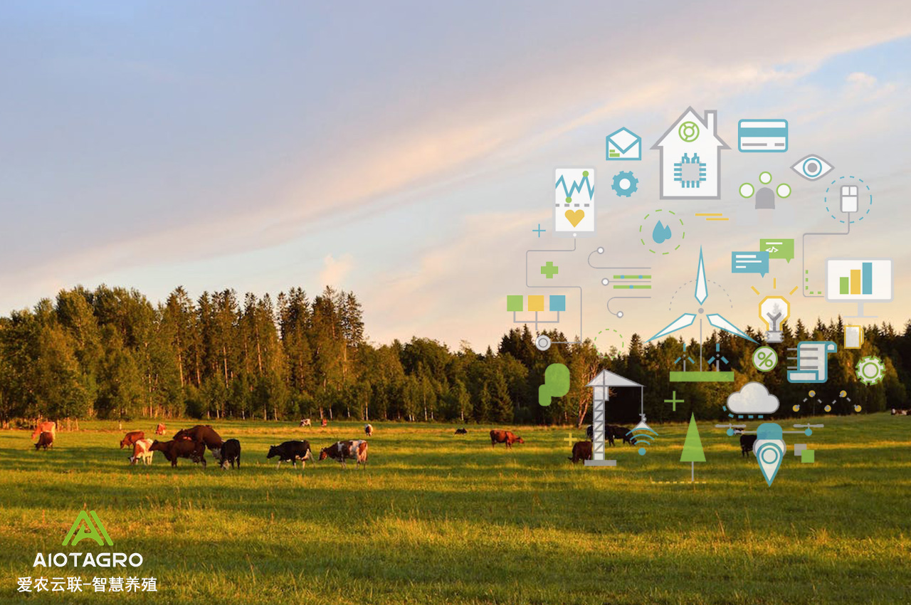 智慧农场：物联网与AI人工智能技术的融合应用-爱农云联