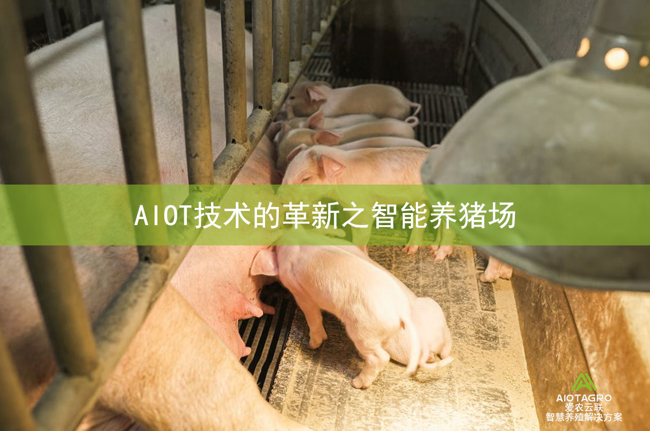 AIOT技术的革新之智能养猪场-爱农云联