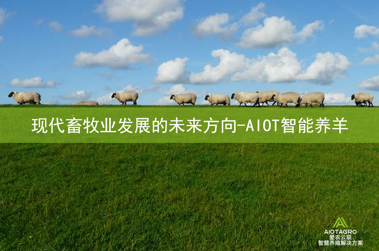 现代畜牧业发展的未来方向-AIOT智能养羊-爱农云联