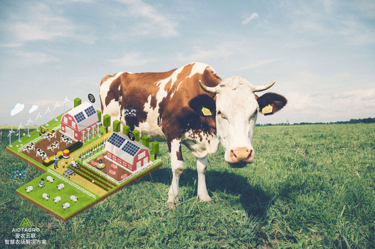 农牧业数据化管理：云平台构建现代化生产模式-爱农云联
