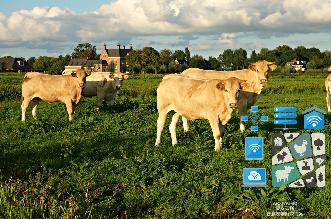 软件升级提高农场效率：信息化技术的创新应用-爱农云联