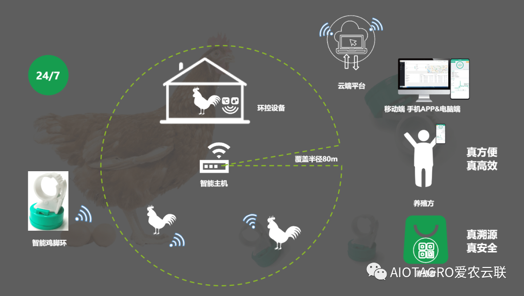 物联网设备+AI的智能养殖模式-爱农云联