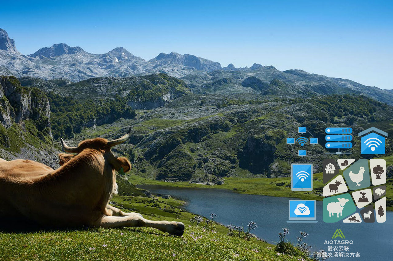 数字化农场管理：AI人工智能+物联网应用助力-爱农云联