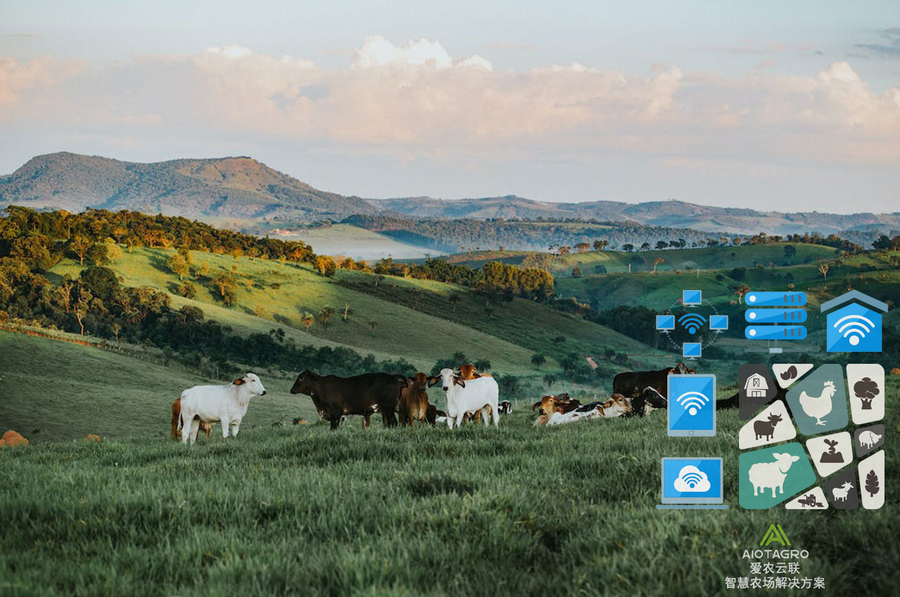 农牧业智能化：数字化+自动化+物联网-爱农云联