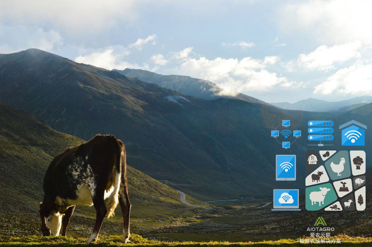 服务畜牧业发展：在线系统与应用方案助力信息化转型-爱农云联