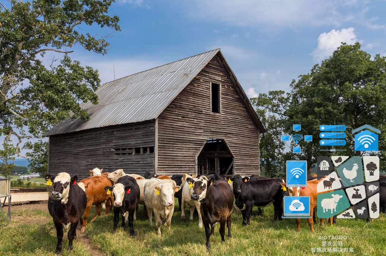 自动化农牧场的创新解决方案：小型畜牧场实现智慧化运营-爱农云联