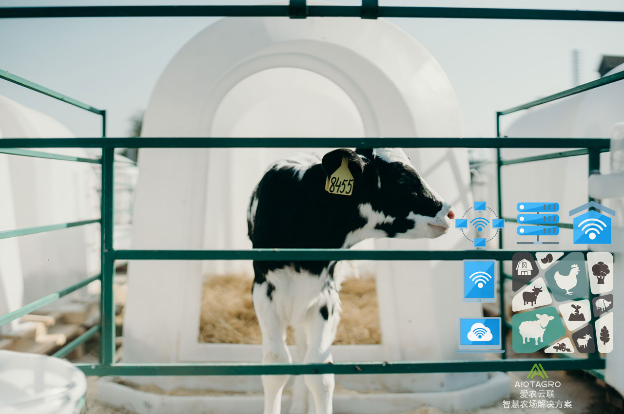 智能化农牧业：小型养殖场的新建方案实现智能化农牧-爱农云联