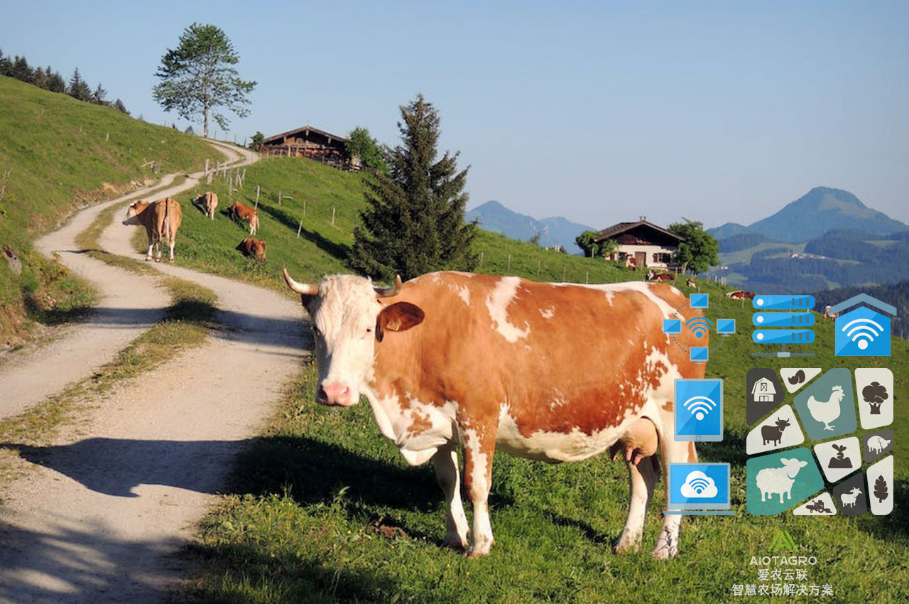 农牧业数字化转型：AI决策支持助力精准养殖-爱农云联