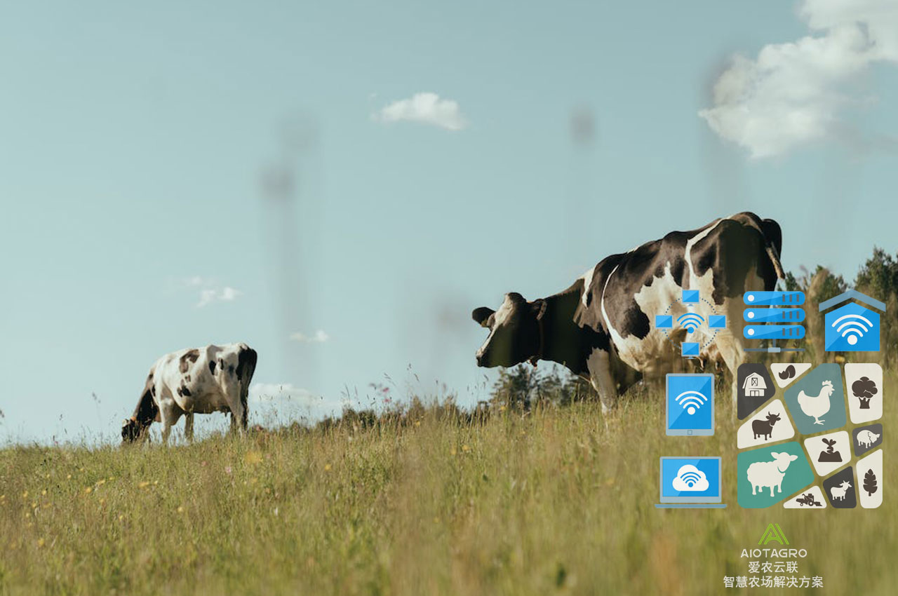 农场数字化管理：基于智慧农业物联网云平台的可视化方案-爱农云联