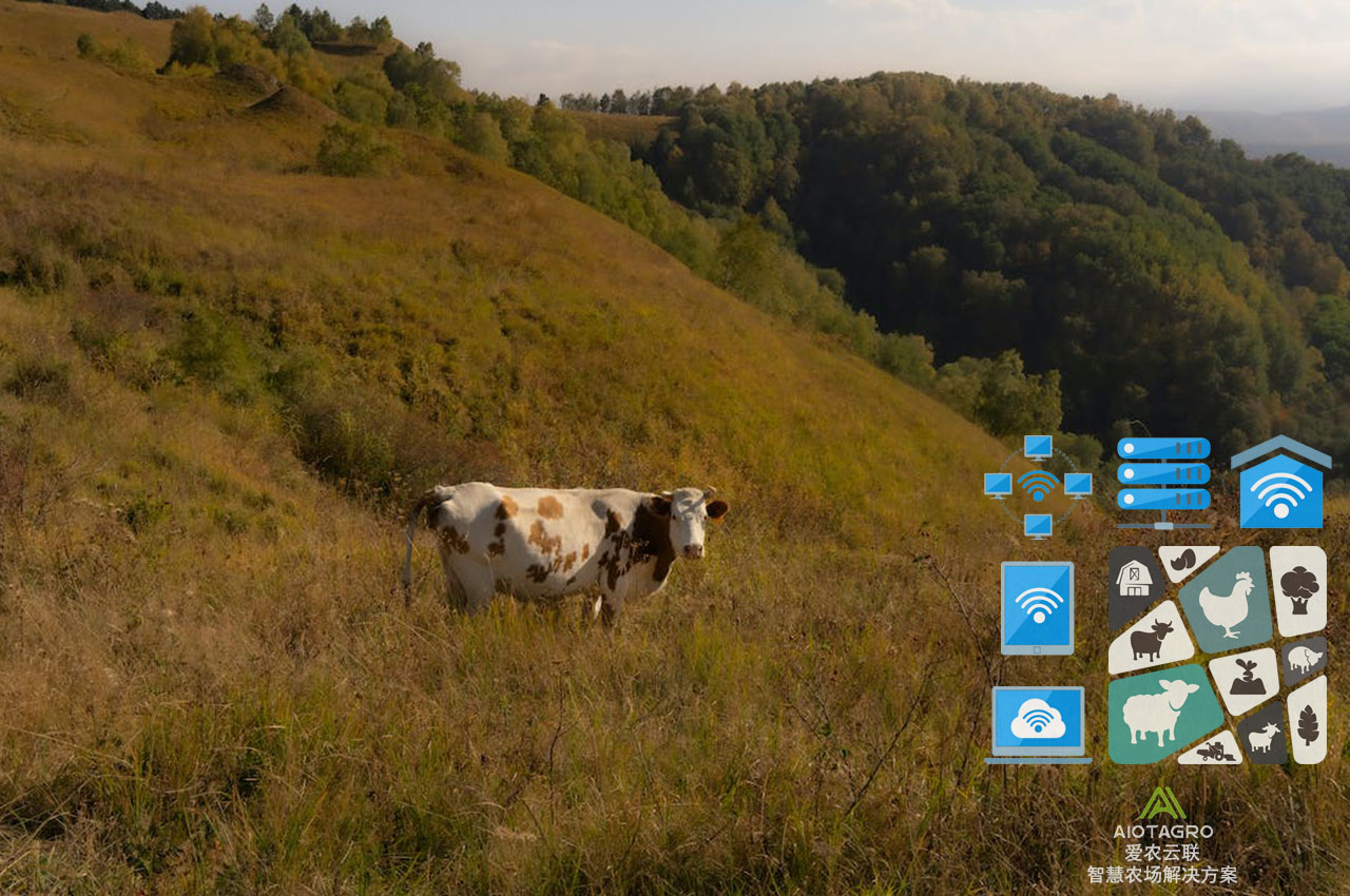 智能化养殖场：智慧农业云平台最新升级方案的优势-爱农云联