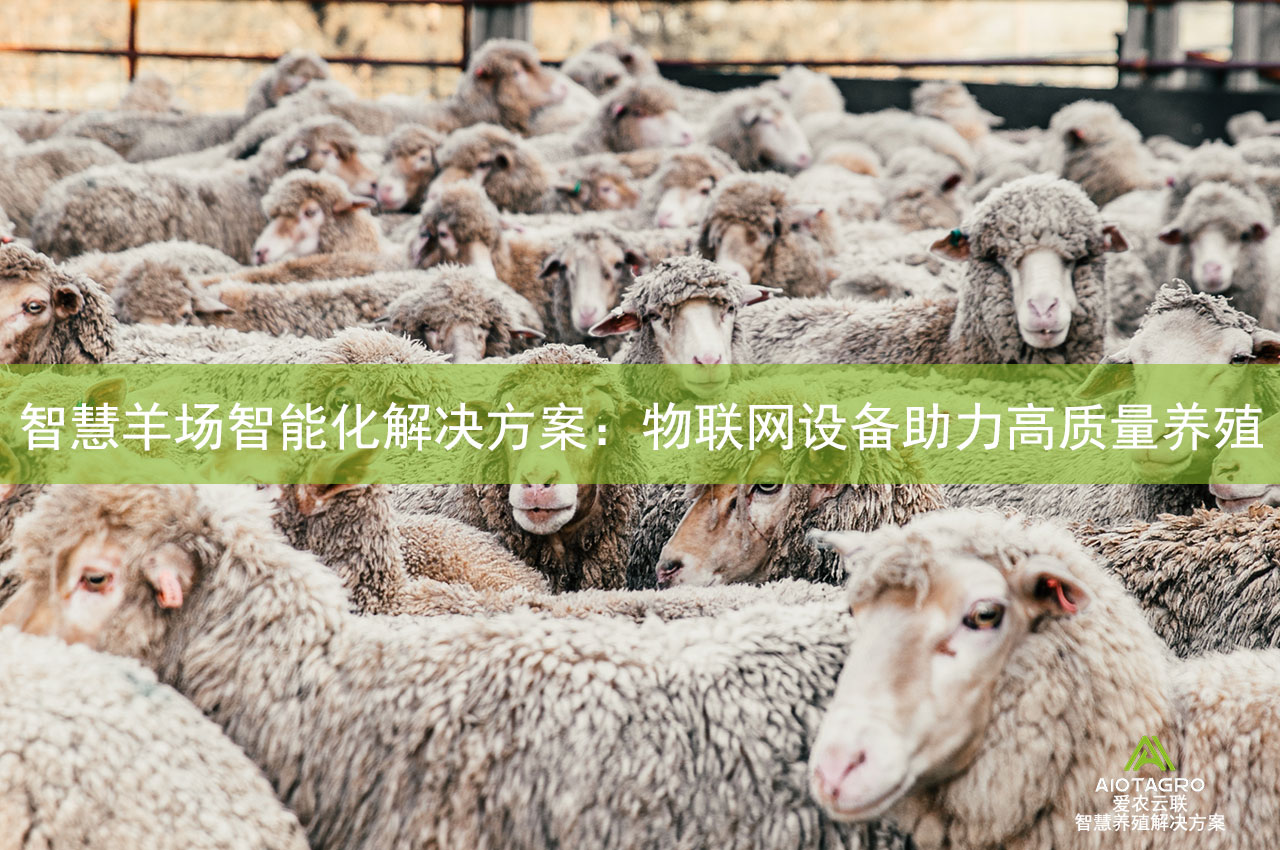 智慧羊场智能化解决方案：物联网设备助力高质量养殖-爱农云联