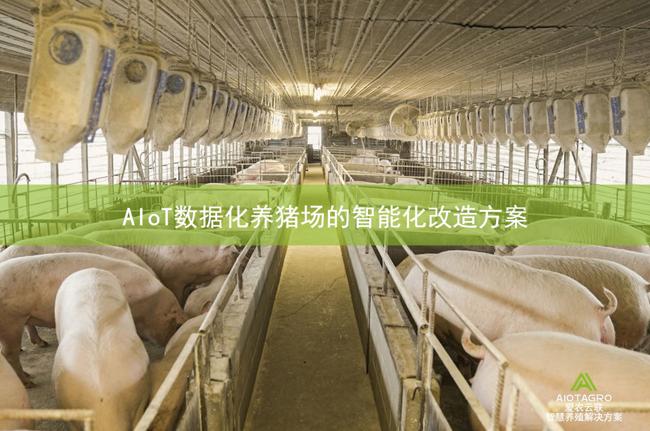 最新AIoT数据化养猪场的智能化改造方案-爱农云联