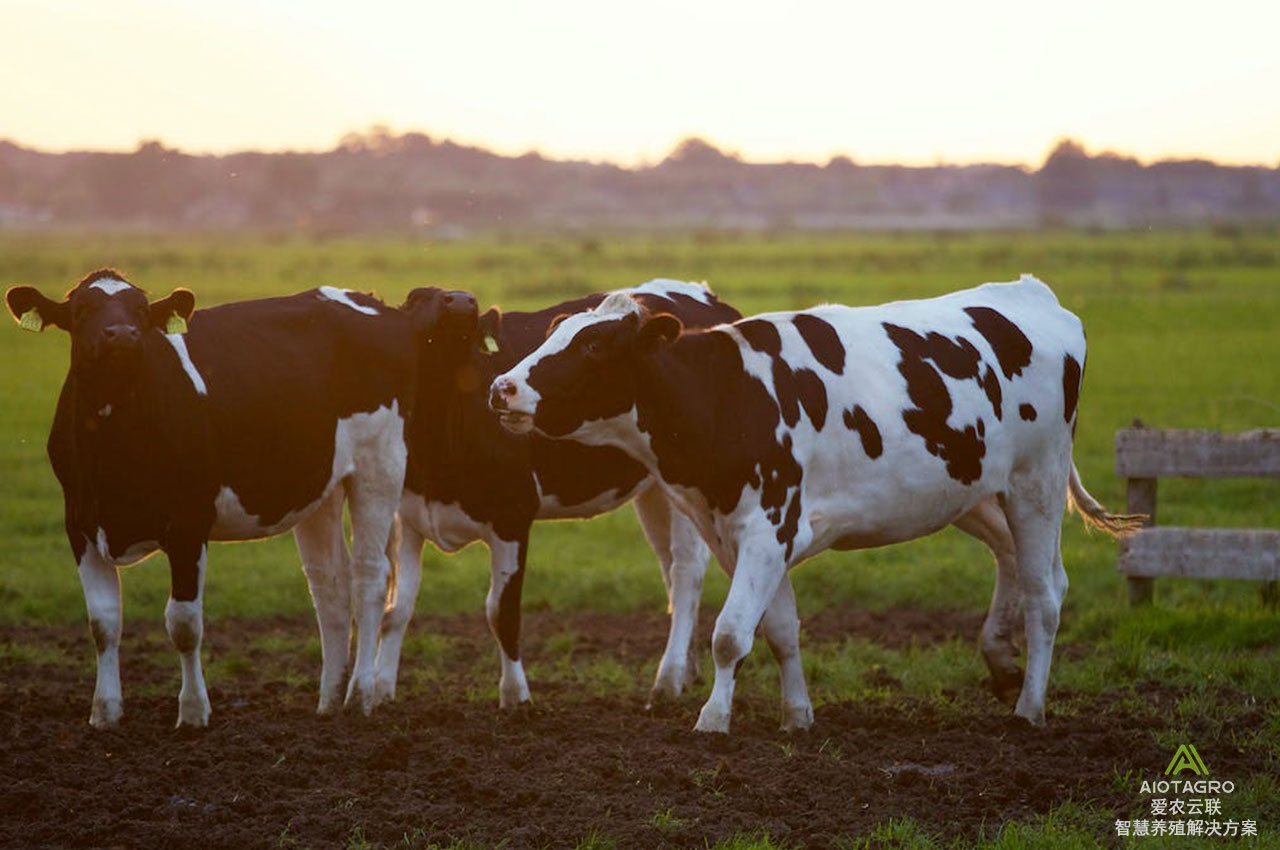 智能化农场管理系统：实现农牧业的自动化和信息化-爱农云联
