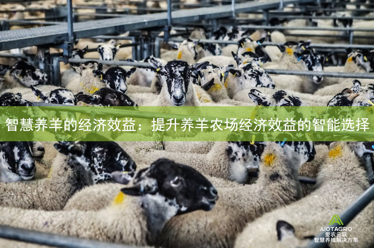 智慧养羊的经济效益：提升养羊农场经济效益的智能选择