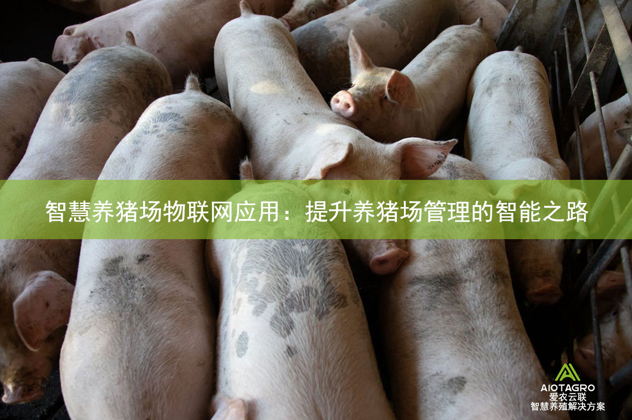 智慧养猪场物联网应用：提升养猪场管理的智能之路