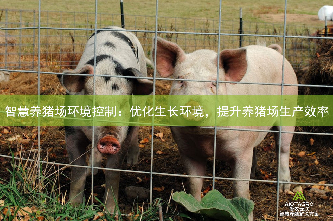 智慧养猪场环境控制：优化生长环境，提升养猪场生产效率