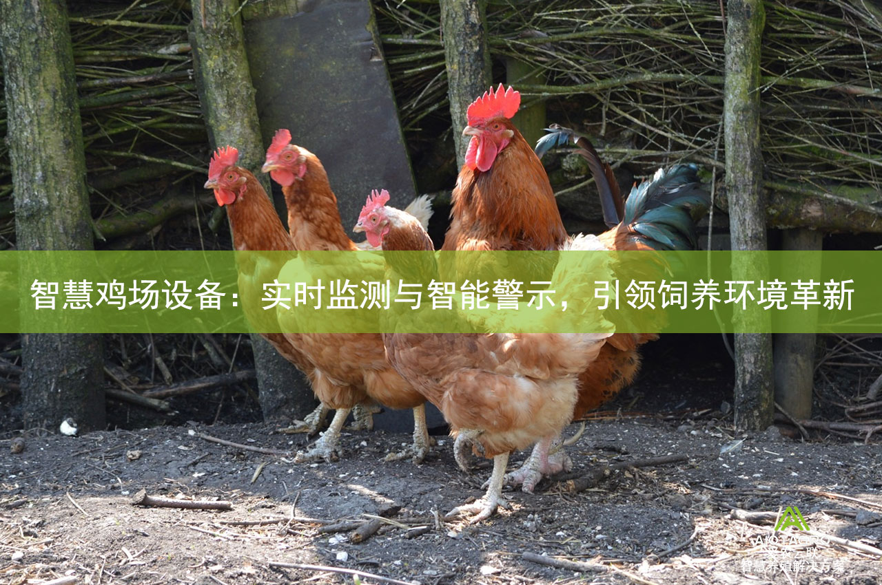 智慧鸡场设备：实时监测与智能警示，引领饲养环境革新