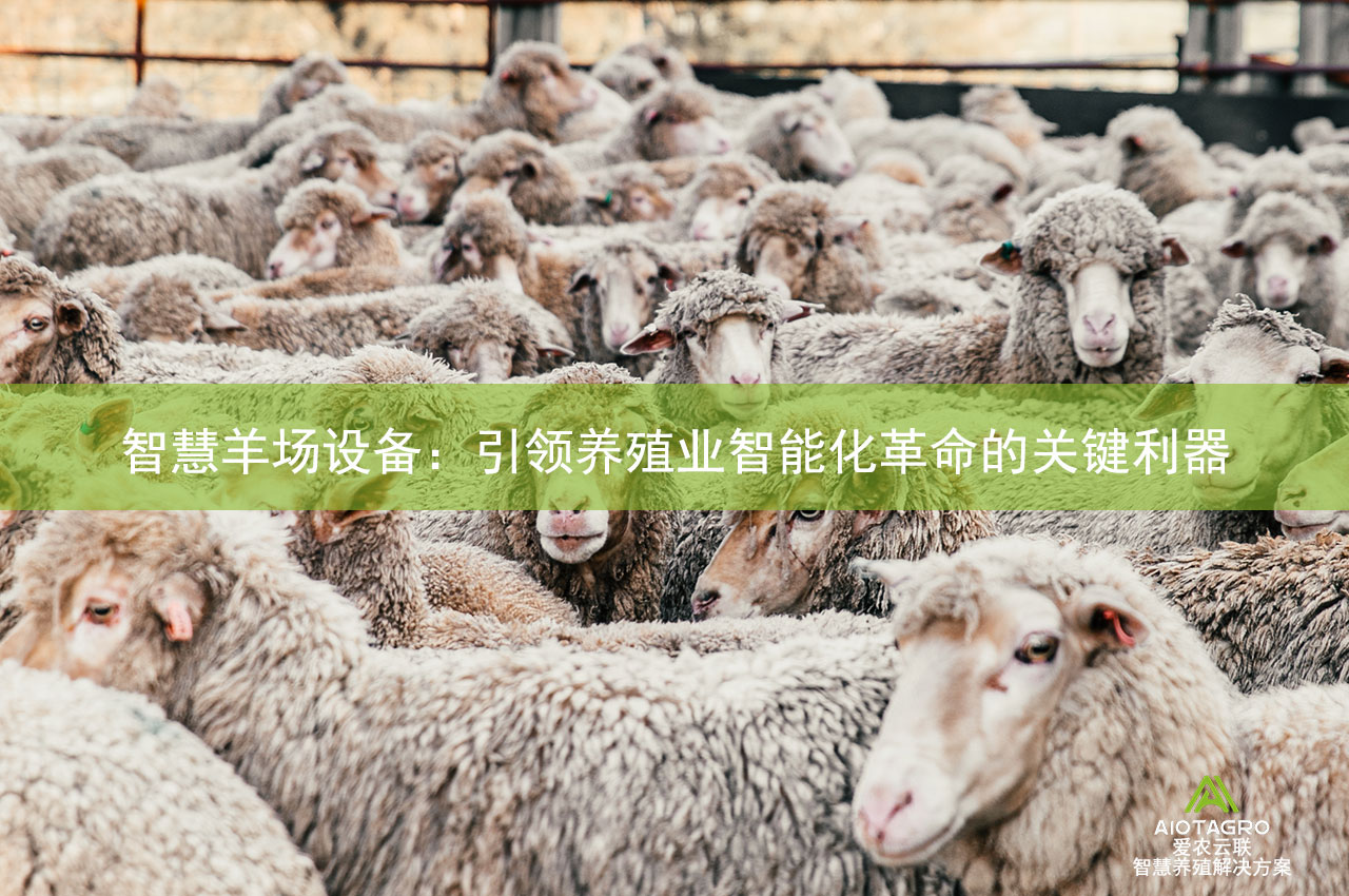 智慧羊场设备：引领养殖业智能化革命的关键利器