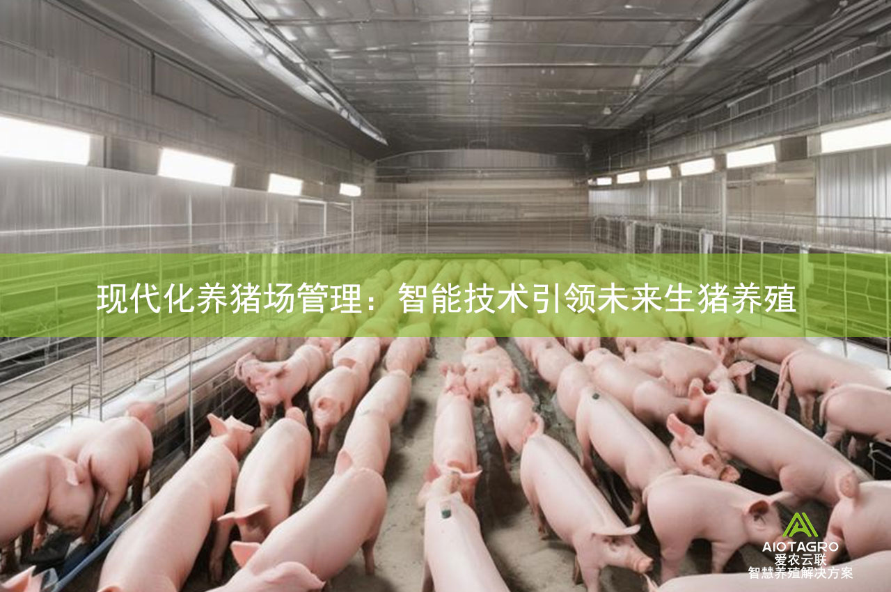 现代化养猪场管理：智能技术引领未来生猪养殖