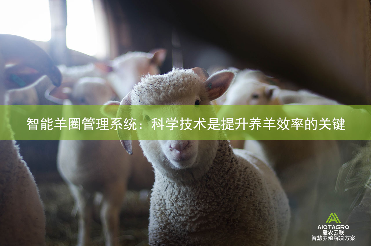 智能羊圈管理系统：科学技术是提升养羊效率的关键