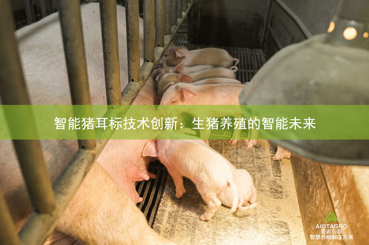 智能猪耳标技术创新：生猪养殖的智能未来