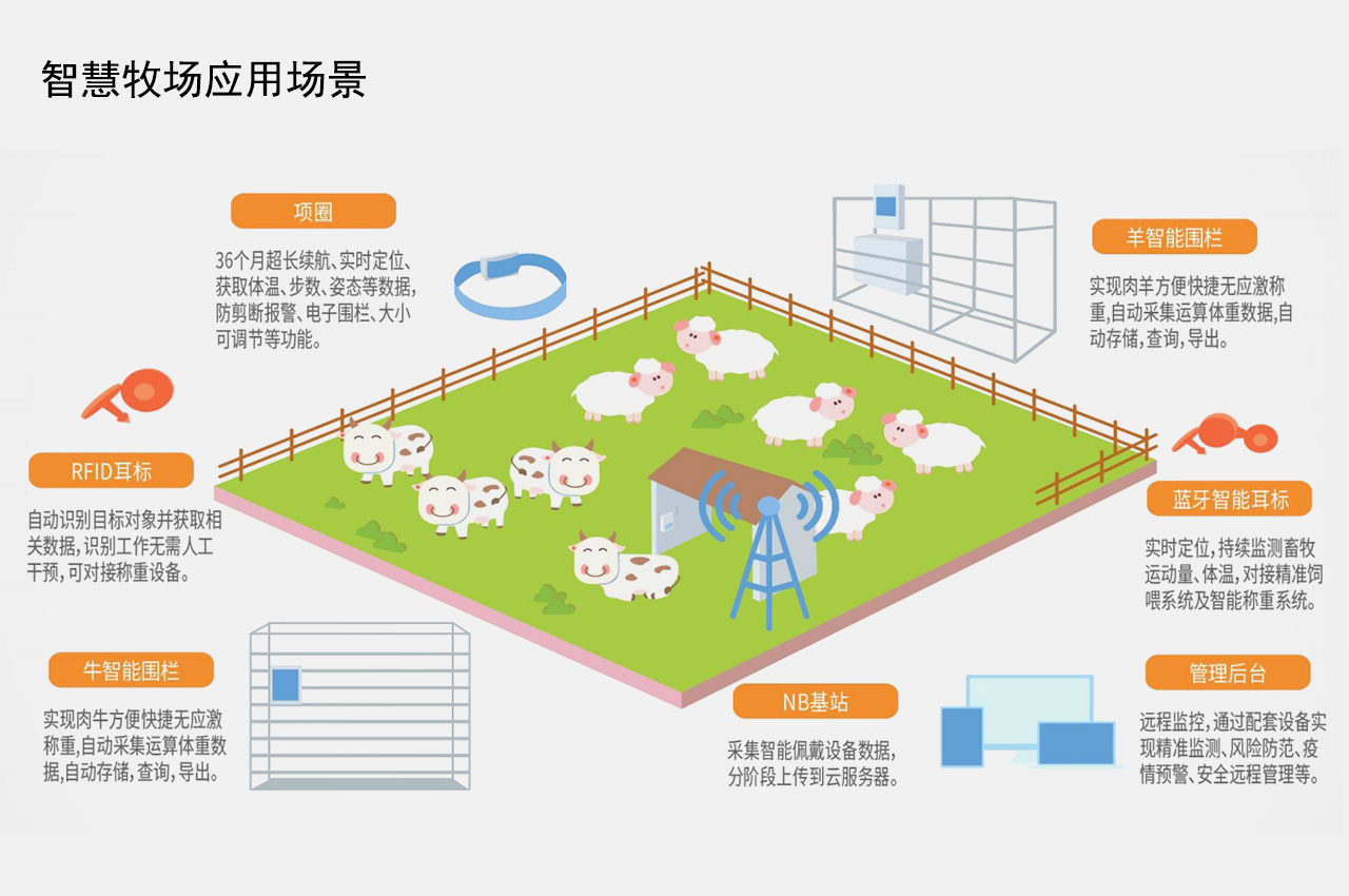 智慧养殖解决方案：科技赋能牛羊猪养殖业的未来