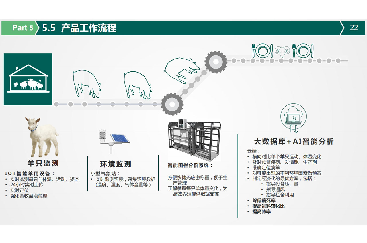 智能羊耳标引领未来畜牧业：数字化养羊管理新风潮