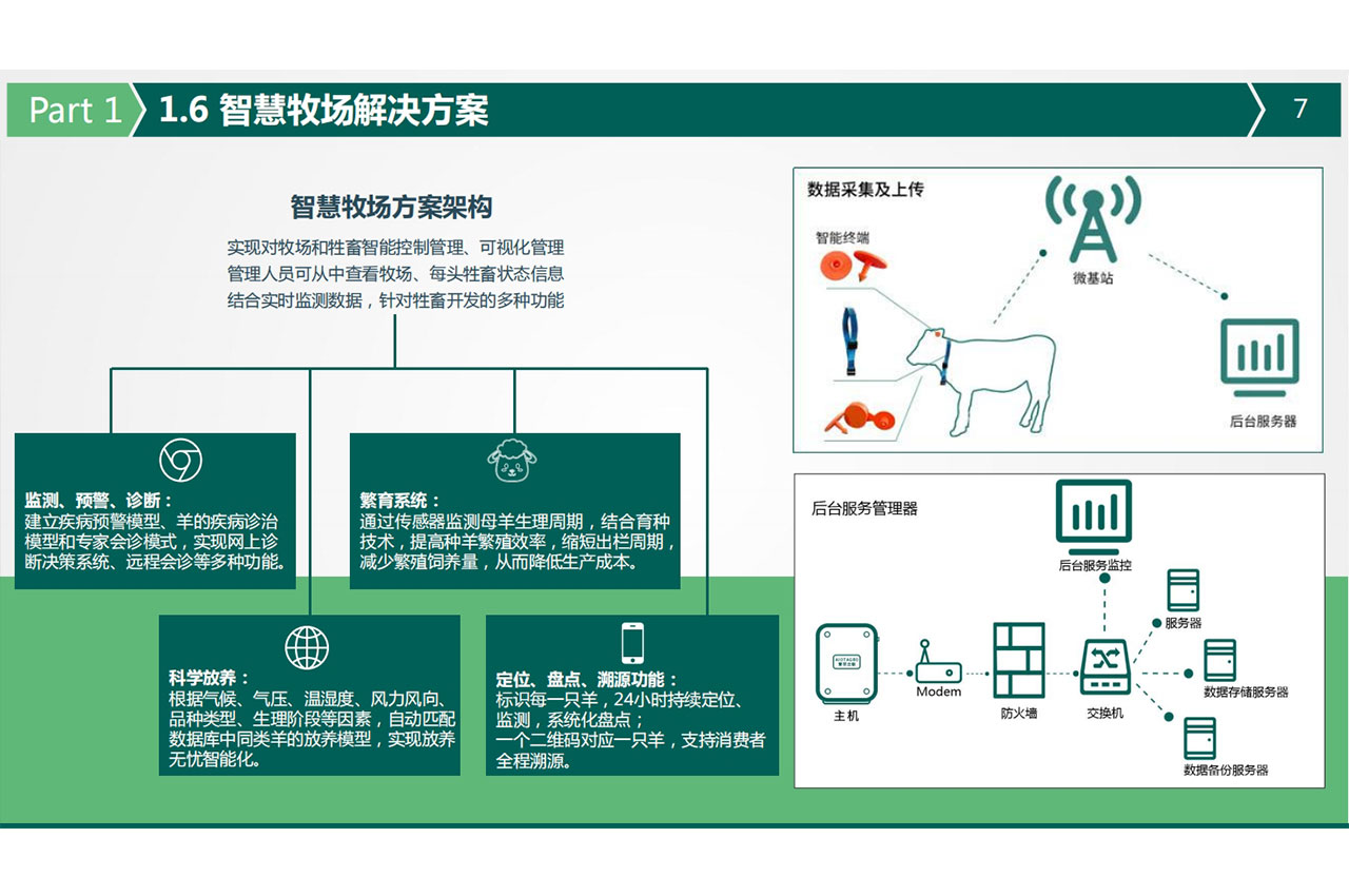 如何通过智能耳标实现养殖畜牧业的数字化转型