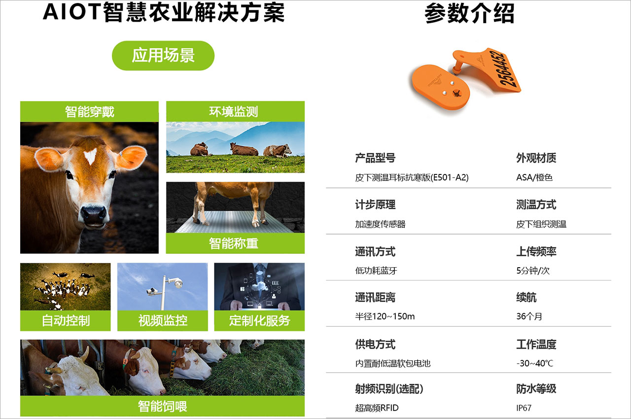 牛电子耳标产品竞争力之选：智能化养殖场的核心