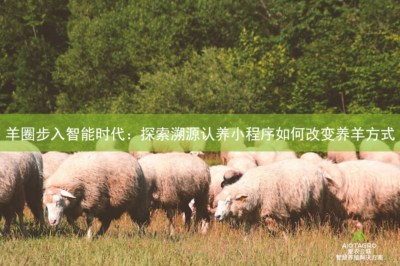 羊圈步入智能时代：探索溯源认养小程序如何改变养羊方式
