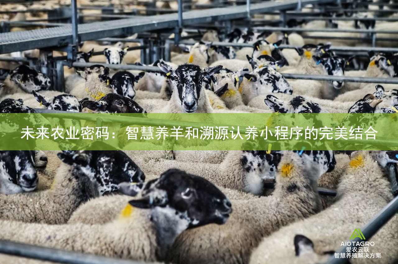 未来农业密码：智慧养羊和溯源认养小程序的完美结合